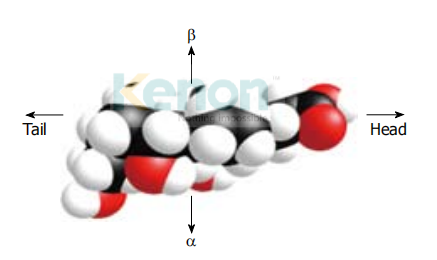 672b2e4558d8c.png 微信圖片_20241106165105.png